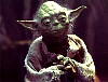 yoda04.jpg